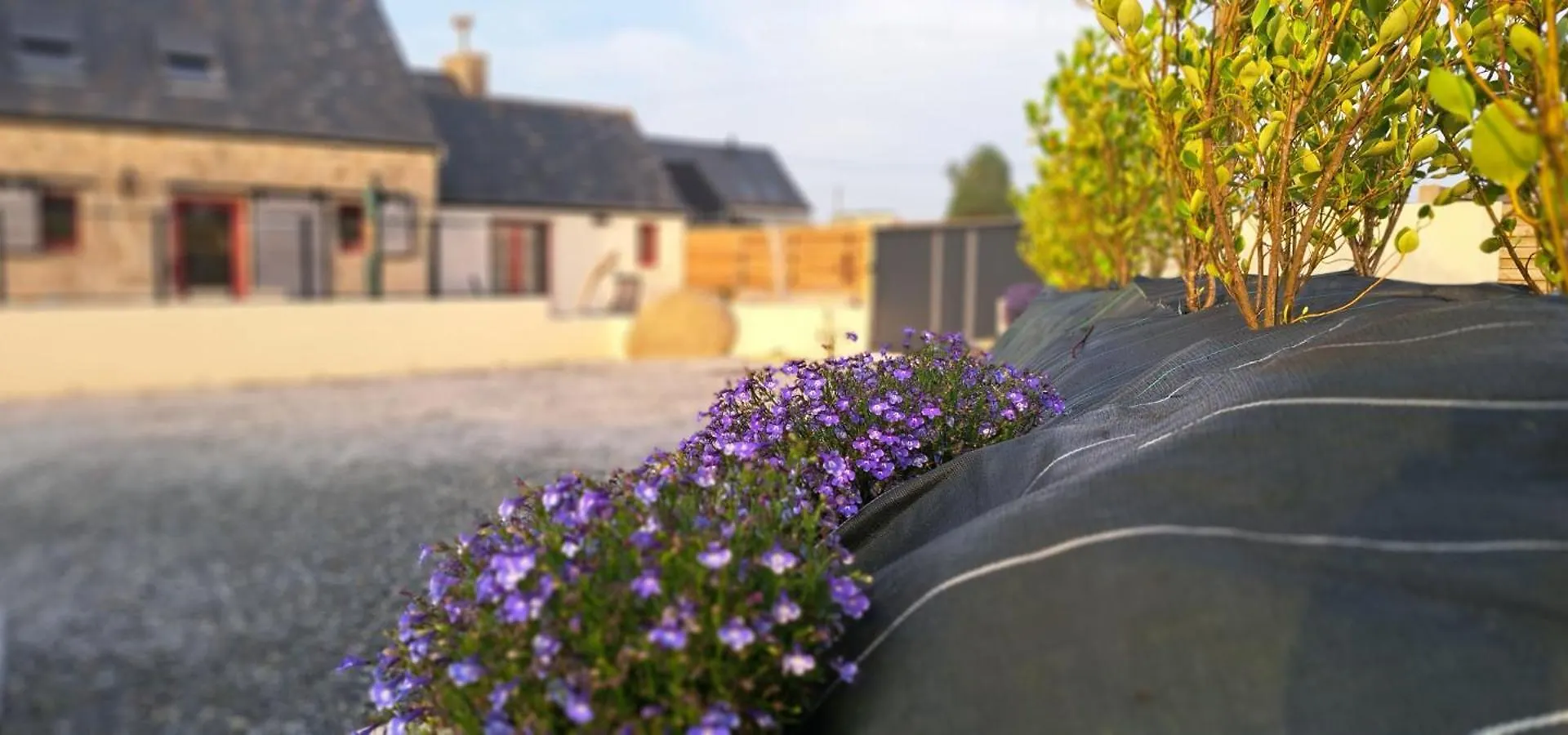 Holiday home Nouveaute Maison Campagne Plouescat