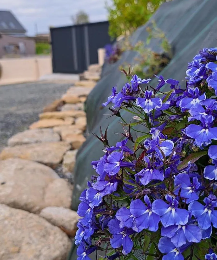 Nouveaute Maison Campagne Plouescat Holiday home